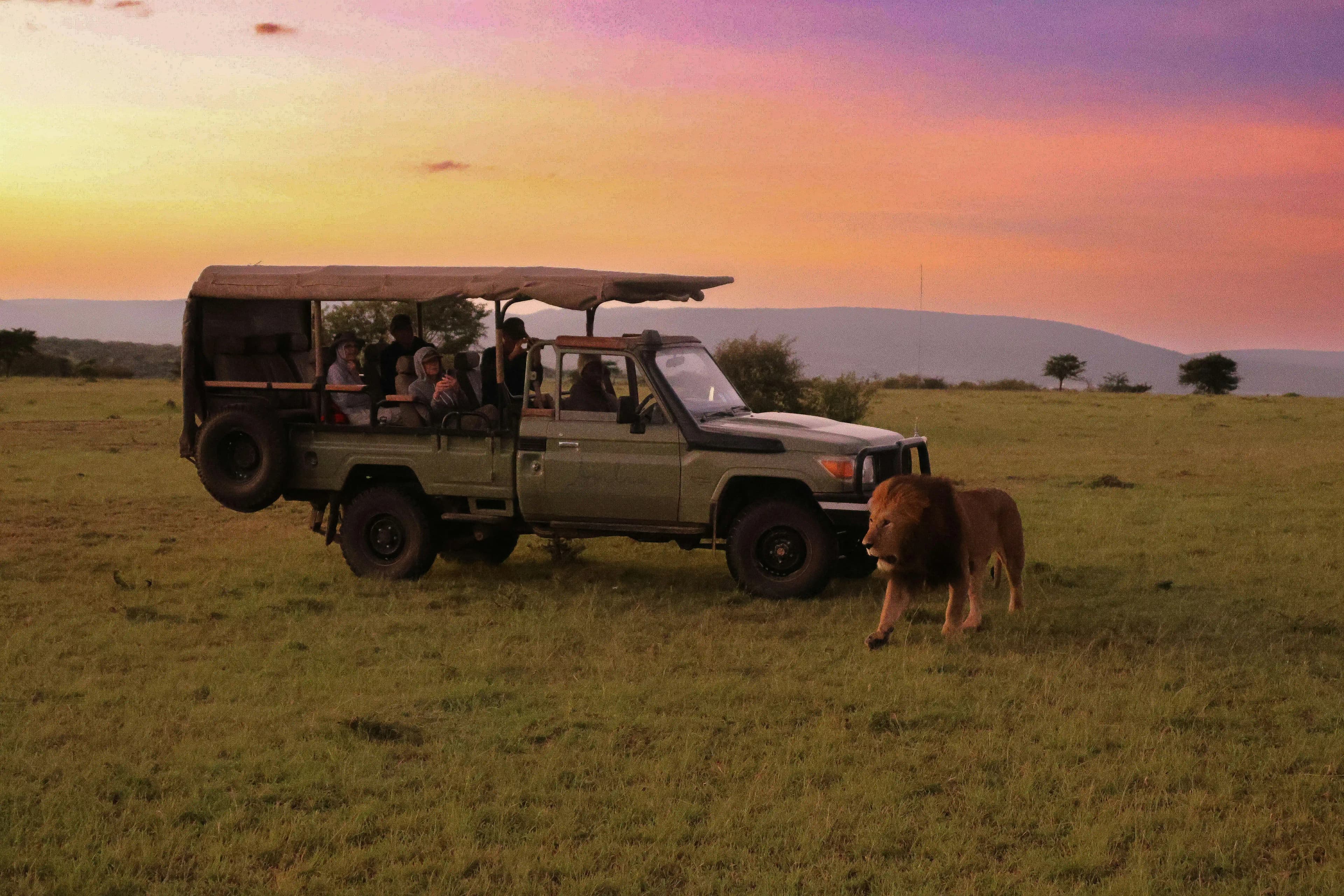 A safari vehicle with tourists watching wildlife in Kenya.